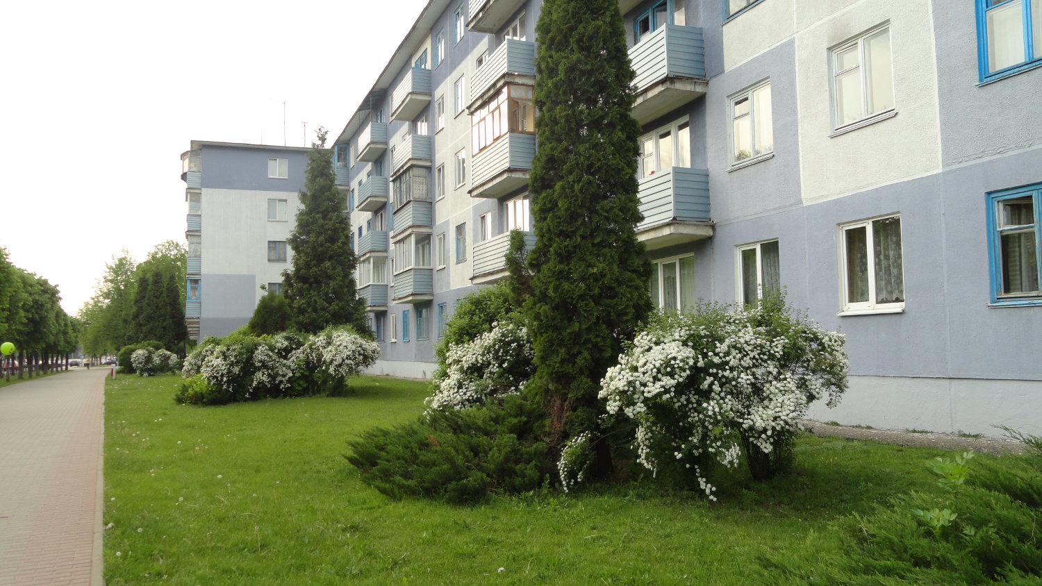 Ландшафтный дизайн спального района Городской пейзаж спального района