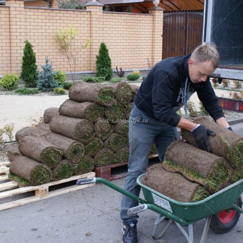 Разгружаем рулонный газон